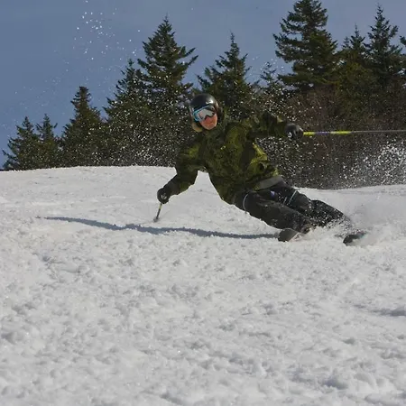 Mountain Lodge-3
